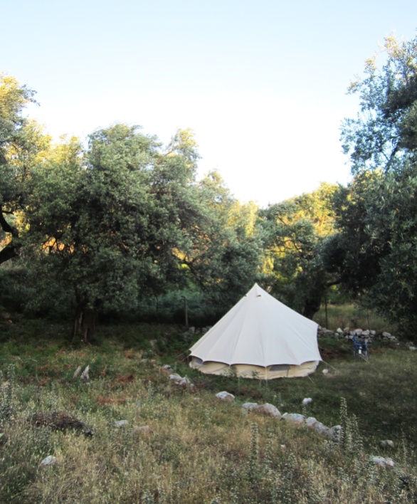 Bell Tent in the Olive grove